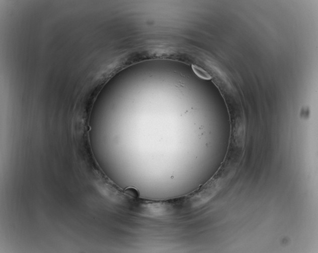 X0000102350417200808011208