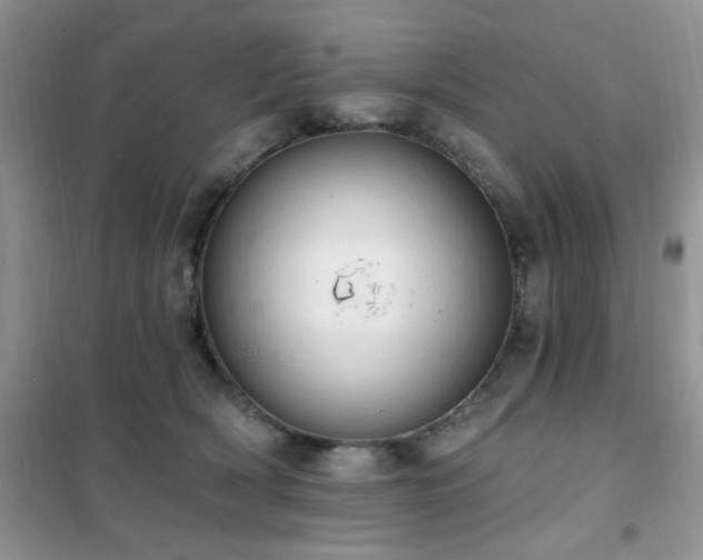 X0000102350418200808011208