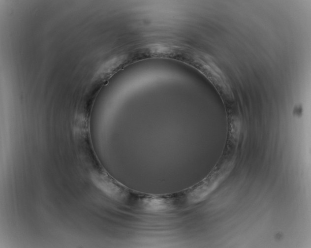 X0000102350419200808011208