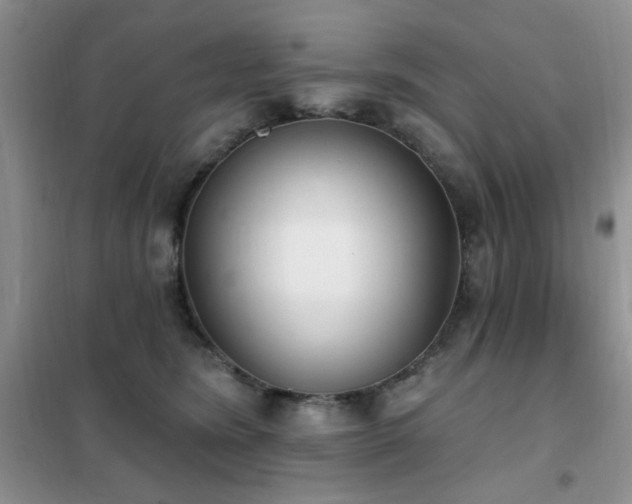 X0000102350420200808011208