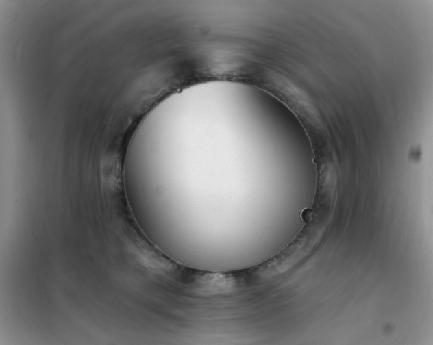 X0000102350421200808011208