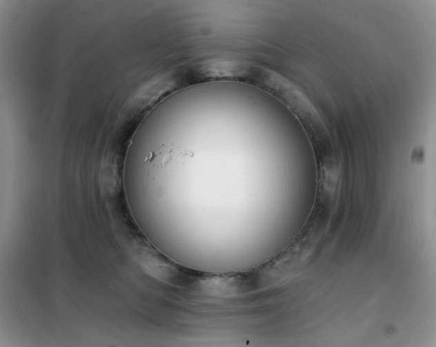 X0000102350422200808011208