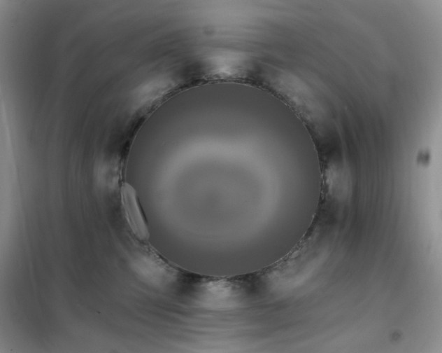 X0000102350423200808011208