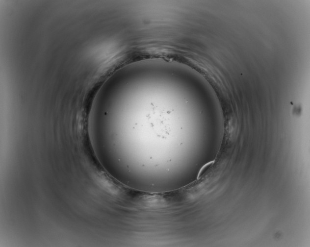 X0000102350424200808011208