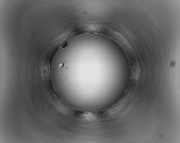 X0000102350425200808011208