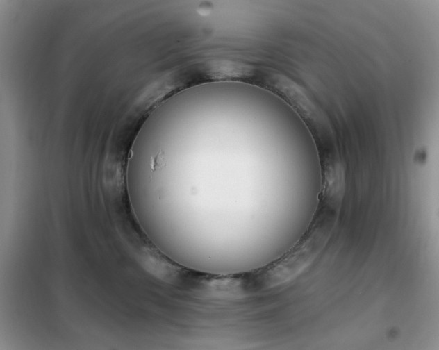 X0000102350426200808011208