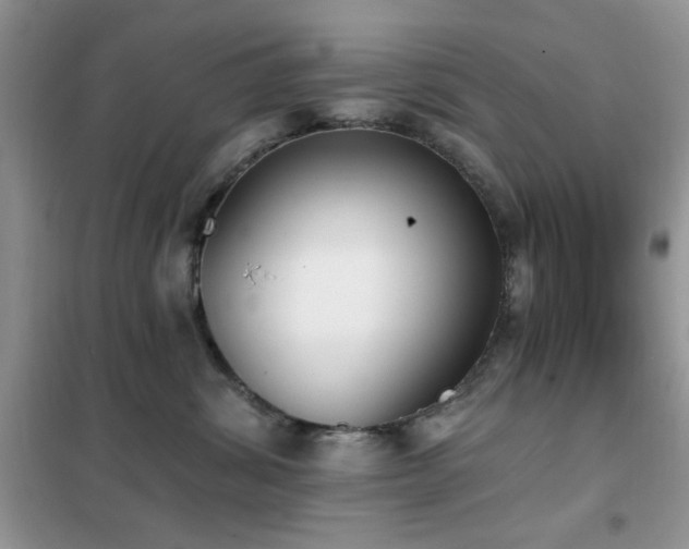 X0000102350428200808011208