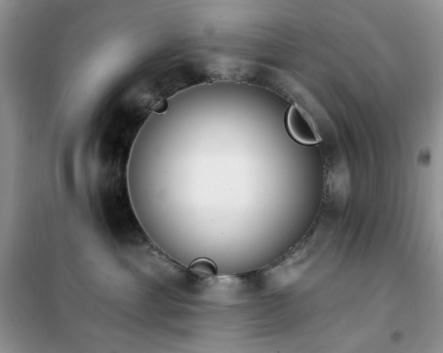 X0000102350429200808011208