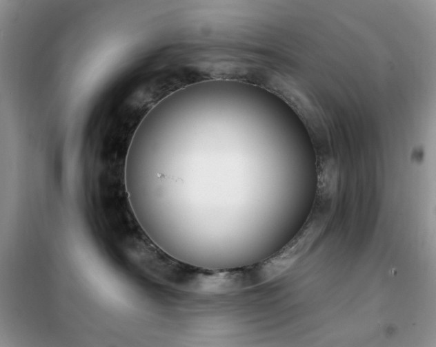 X0000102350430200808011208