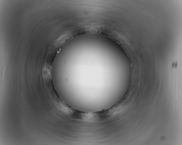 X0000102350432200808011208