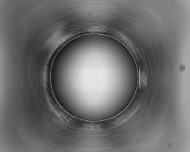 X0000102350435200808011207