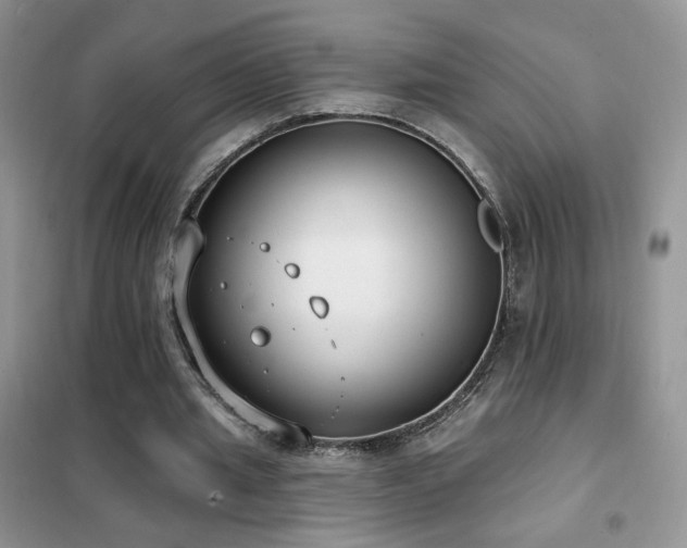 X0000102350437200808011207