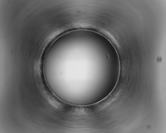 X0000102350439200808011207