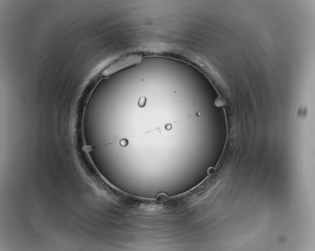 X0000102350440200808011207