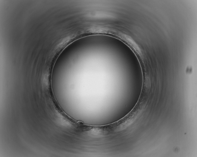 X0000102350441200808011207