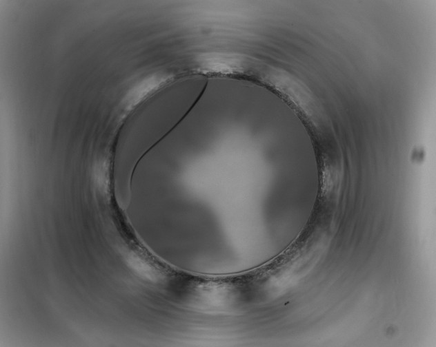 X0000102350444200808011207