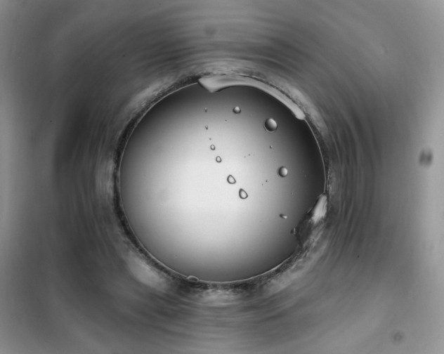 X0000102350445200808011207