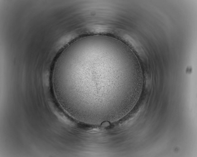 X0000102350447200808011207