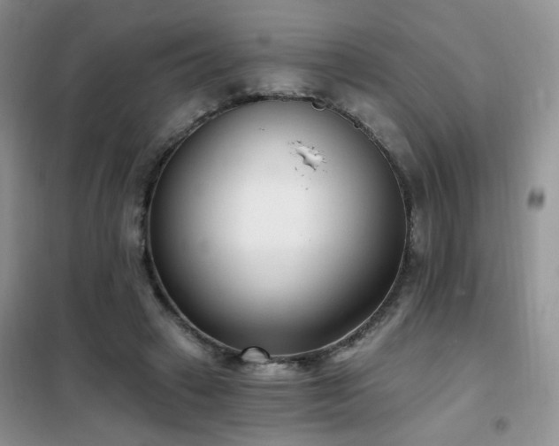 X0000102350449200808011207