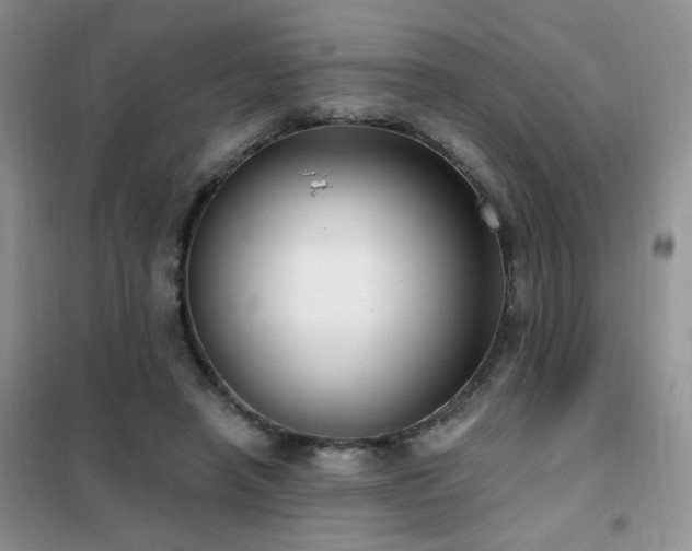 X0000102350450200808011207