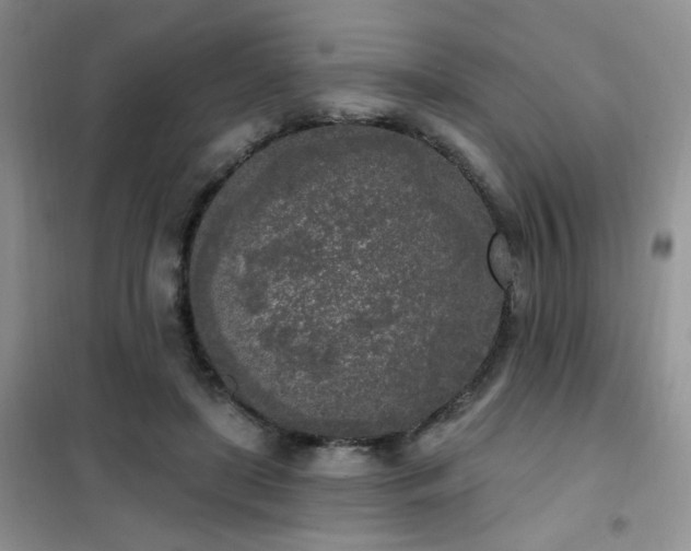 X0000102350451200808011207