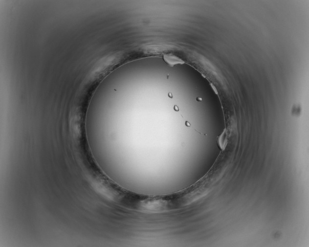 X0000102350452200808011207