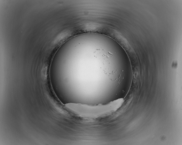 X0000102350454200808011208