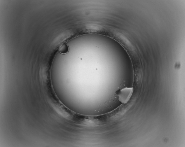 X0000102350455200808011208