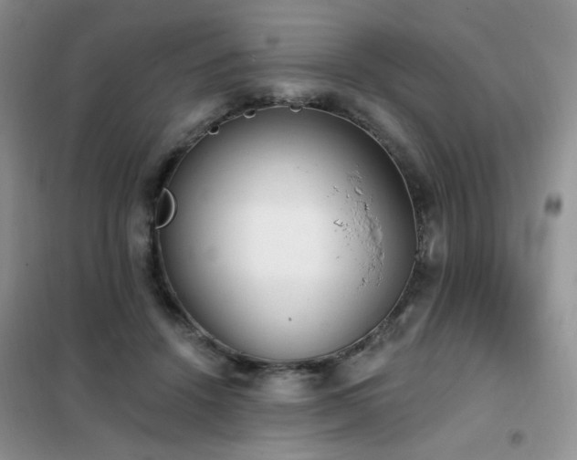 X0000102350456200808011208