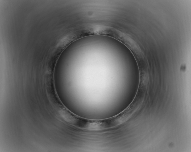 X0000102350461200808011208