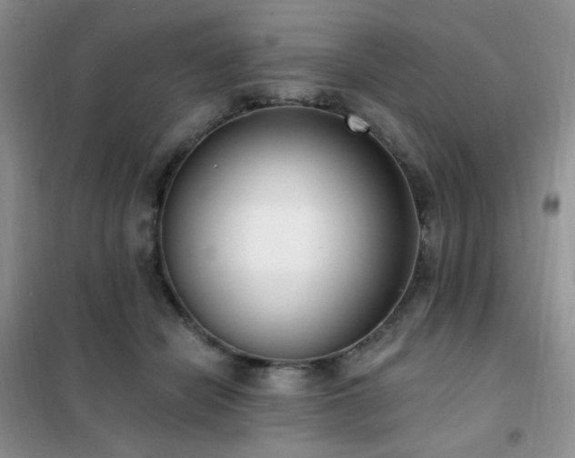 X0000102350462200808011208