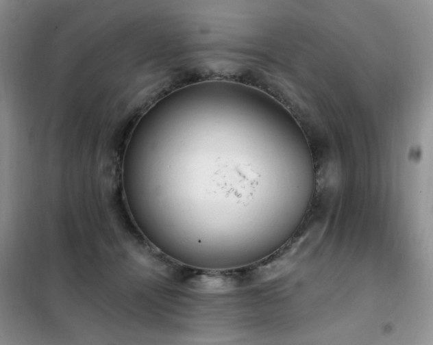 X0000102350464200808011208