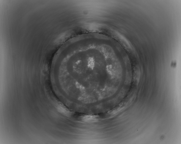 X0000102350465200808011208