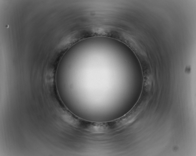 X0000102350466200808011208