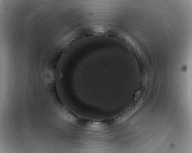 X0000102350467200808011208