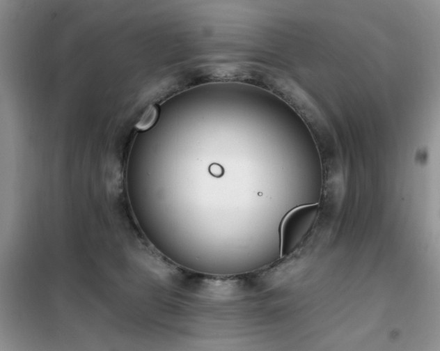 X0000102350469200808011208