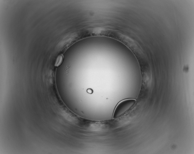 X0000102350470200808011208