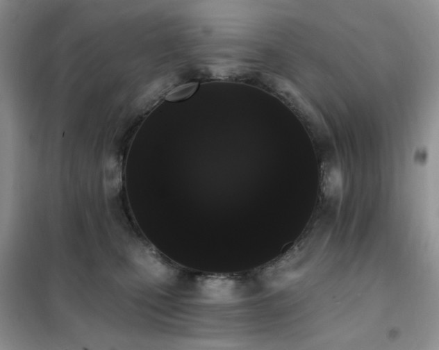 X0000102350471200808011208