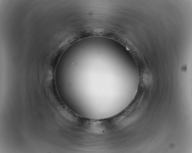 X0000102350472200808011208