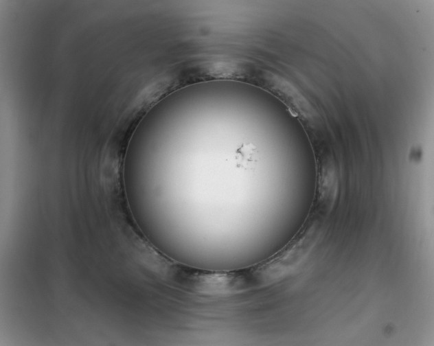 X0000102350473200808011208