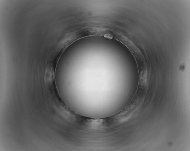 X0000102350474200808011208