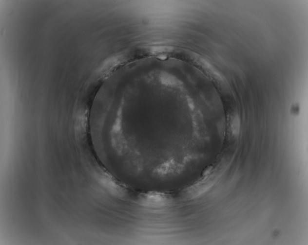 X0000102350475200808011208