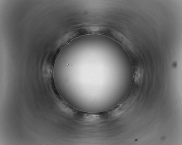 X0000102350476200808011208