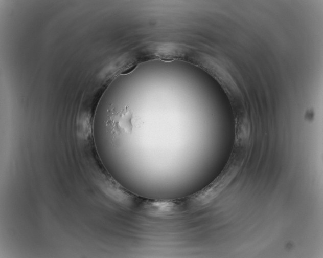 X0000102350478200808011208