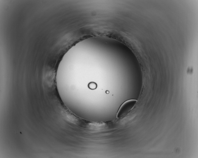 X0000102350480200808011208