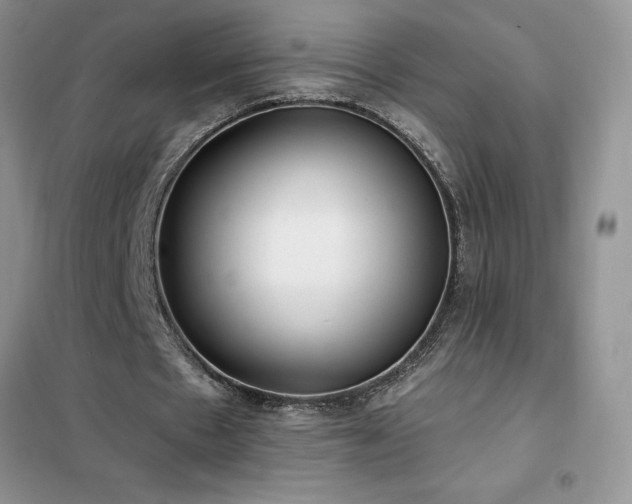 X0000102350481200808011207