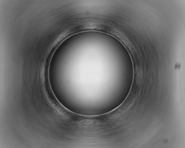 X0000102350482200808011207