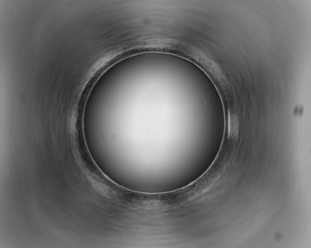 X0000102350483200808011207