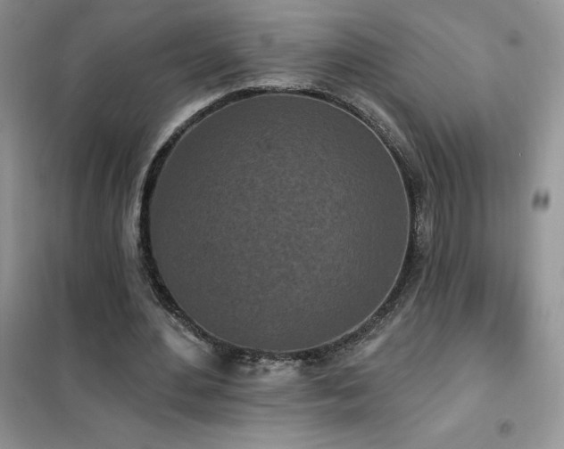 X0000102350484200808011207