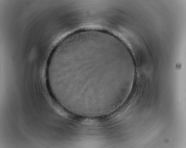 X0000102350487200808011207